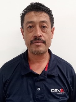 Mendieta Cruz Ernesto